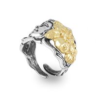 Ring Gerardo Sacco Woman Mese novembre in Silver 31052